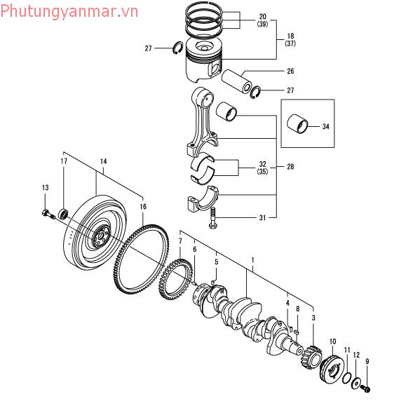 Trục khuỷu và pittong